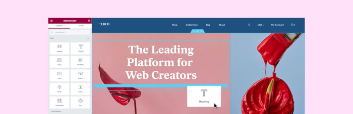 Plugin Elementor